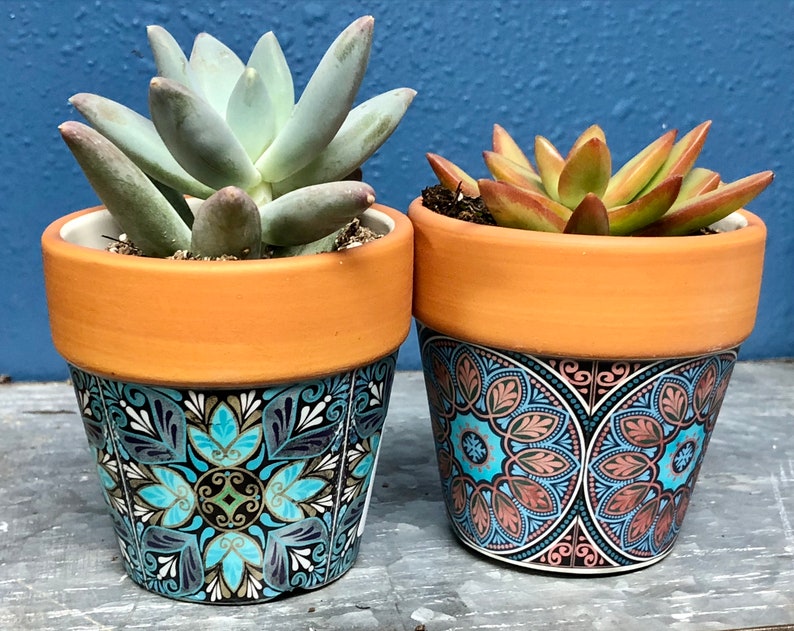 Mini Planter Pot Ceramic Succulent Planter T Etsy