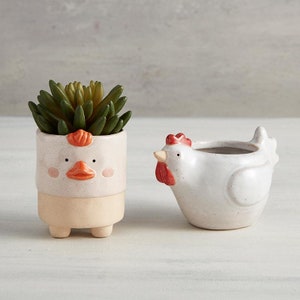 Small Ceramic Chicken SucculentCactusAir Plant Planter Pot