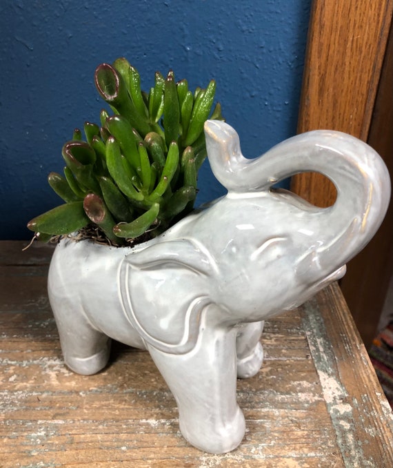 Ceramic Indoor Outdoor Elephant Planters Elephant Flower Pot Etsy