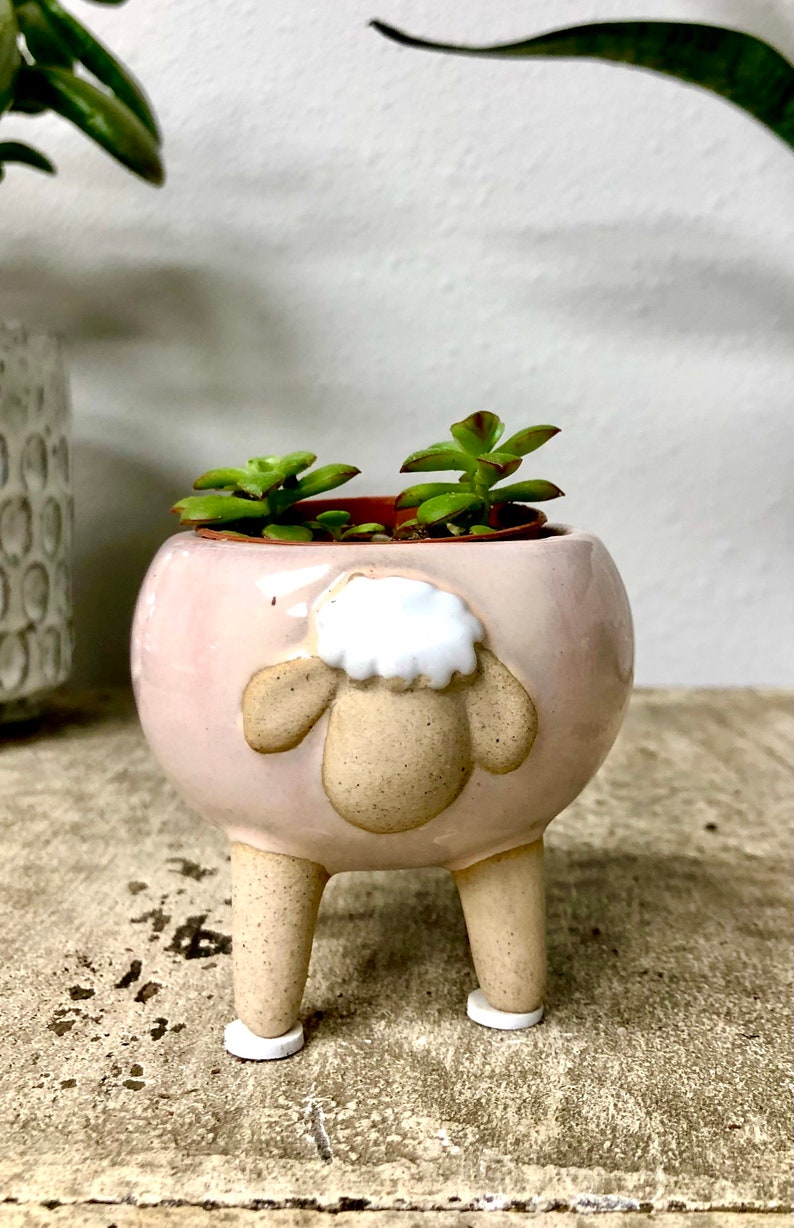 Cute Shallow Sheep Planter Pot for Succulents Cactus House Etsy
