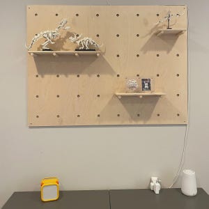 Op de afbeelding: Een lichtgekleurd houten pegboard wandorganizer met drie horizontale planken. Op de planken staan twee witte dinosaurus-skeletmodellen, een klein vliegend wezen, een honkbal in een doorzichtige houder en een kleine ingelijste foto.
