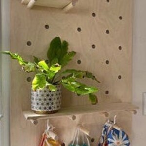 Puede incluir: Un organizador de pared tipo tablero perforado de madera clara con una cuadr&iacute;cula de agujeros circulares. Incluye un estante rectangular peque&ntilde;o en la parte superior izquierda y un estante m&aacute;s grande debajo con una planta verde en maceta.
