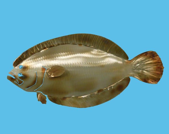 Flounder