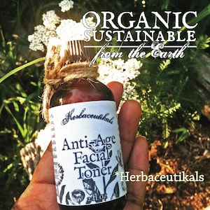 Anti Aging Facial Toner // Organic Facial Toner // Anti Wrinkle Toner // 4oz glass