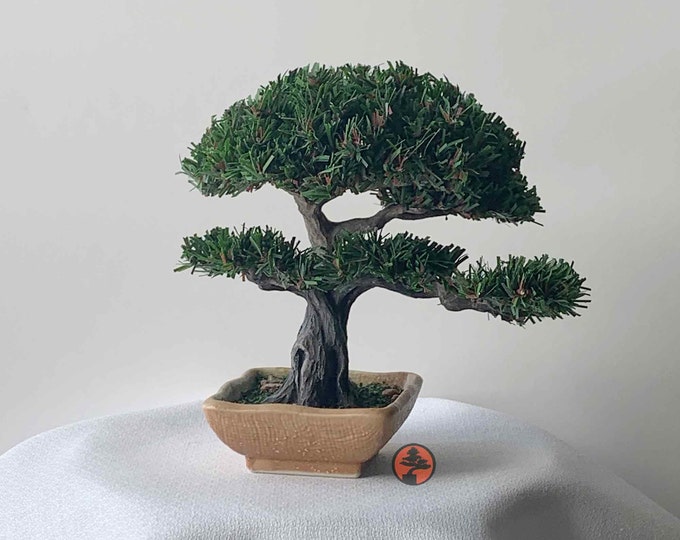 Artificial Pine Bonsai, Bonsai Tree Etsy