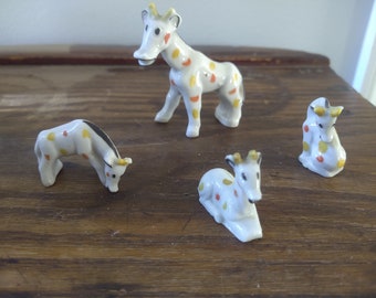 Let's go to the zoo to see the giraffe