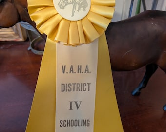 V.A.H.A Schooling District IV Equine Rosette Award Ribbon