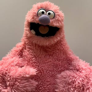 Hand puppet with personality!