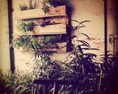 Vertical Herb Garden - Rustic Style - Upcycled Reclaimed Wood