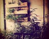 Vertical Herb Garden - Rustic Style - Upcycled Reclaimed Wood