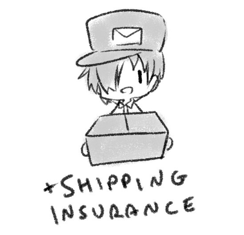 Shipping Insurance Upgrade US only image 1