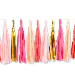 15+ Tassel Garland - Hot Pink Peach Gold Coral Tassels- "Strawberry Sangria" Tassel Banner - Backdrop, DIY Party Decor, Girl