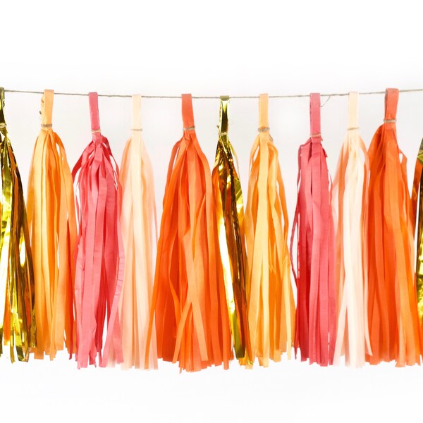 Tassel Backdrop Etsy