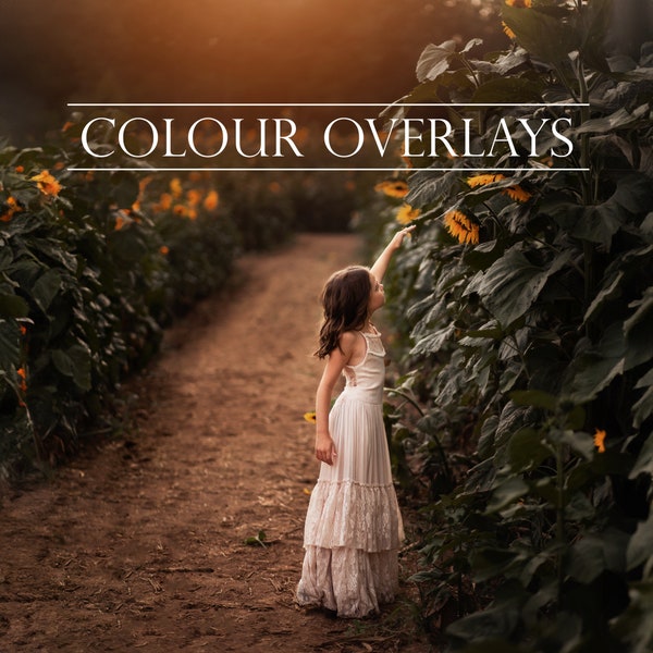 Colour Overlays Photoshop Overlays Photography