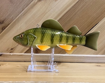 May include: A realistic fish figurine featuring a green and yellow body with dark vertical stripes, a prominent dorsal fin, and orange-tinted pectoral and pelvic fins. The fish is mounted on a clear acrylic display stand with a small metal eyelet.