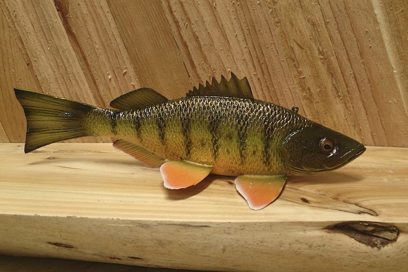 Hand carved wooden spearing decoy realistic Perch Etsy