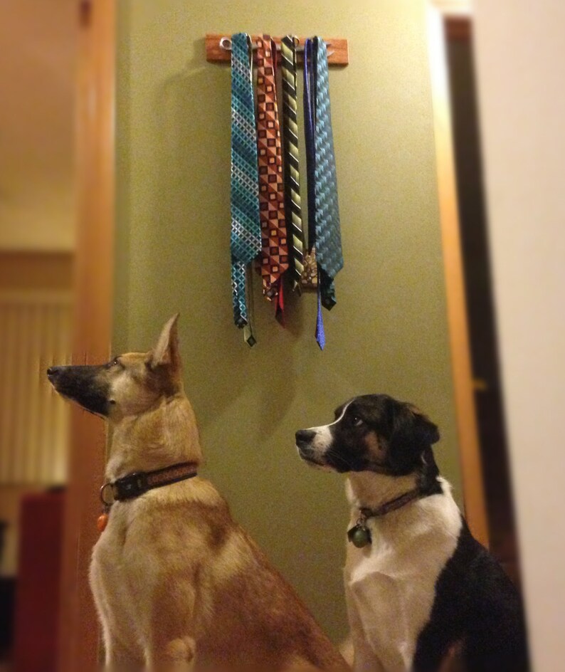 Tie Rack / Necktie Holder Etsy