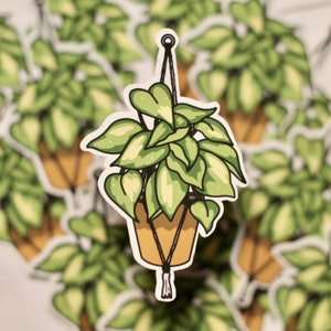 Hanging Pothos Plant Sticker | Matte, Waterproof Die-Cut Sticker
