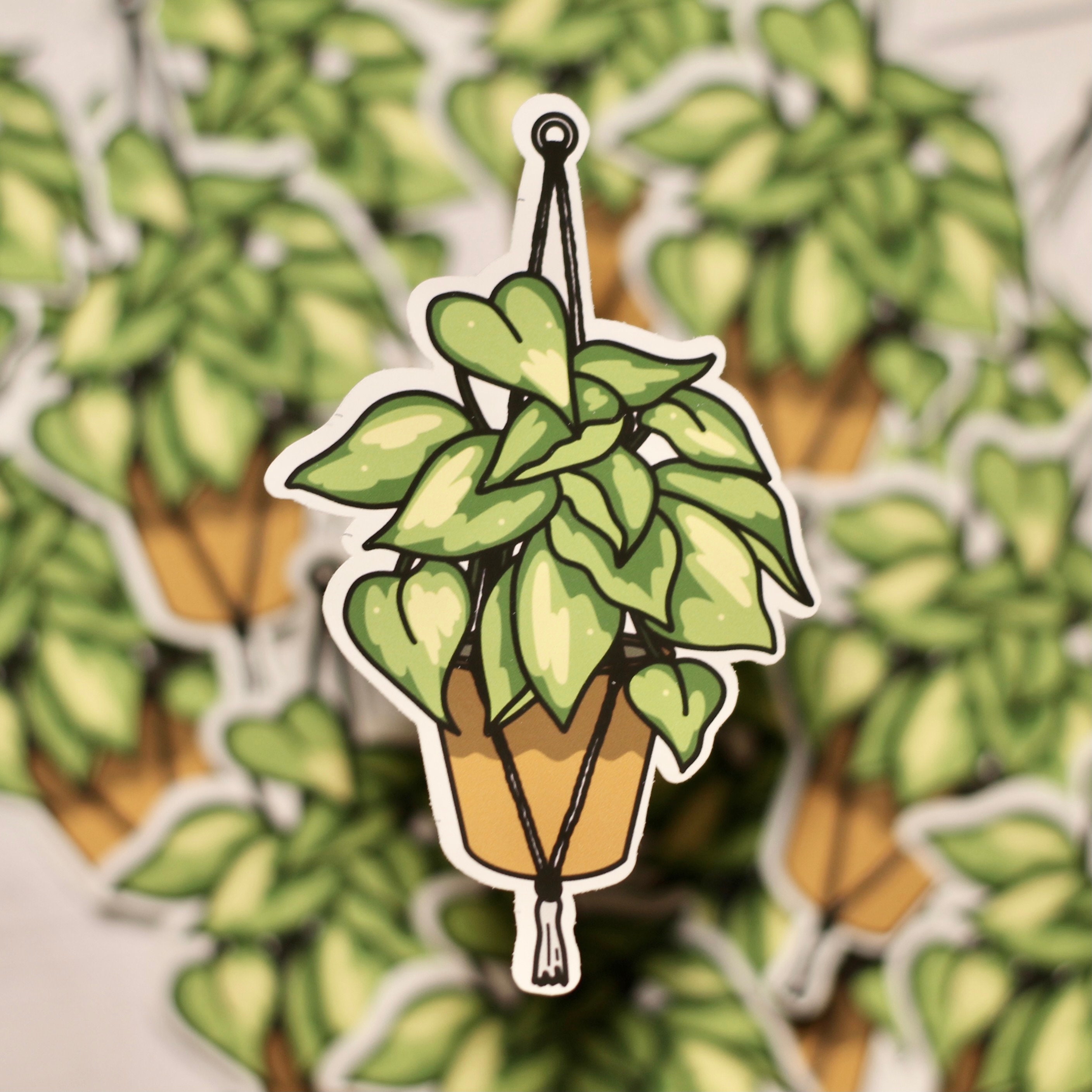 Pathos Car Sticker Hanging Pothos Plant Sticker | Matte, Waterproof Die-cut Sticker - Etsy