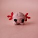 Custom Axolotl Plush Crochet Stuffed Animal Toy : BFF Collection 