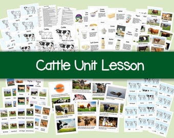 Cattle/Cow Unit Study Flashcards | Cow Anatomy & Parts of a Cow | Types of Cattle | Dairy Products | Montessori Cards | Flashcards