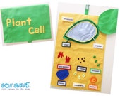 Plant Cell Quiet Book