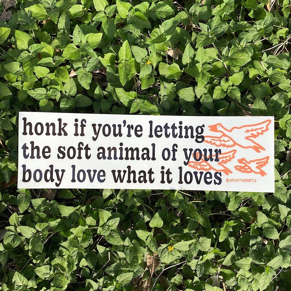 Mary Oliver "Wild Geese" Bumper Sticker