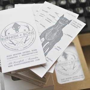 300 Double Sided Letterpress Business Cards: Custom Printed