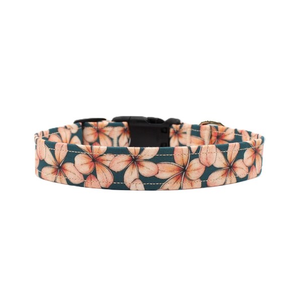 Plumeria Hawaiian Dog Collar | Plumeria Dog Collar | Tropical Dog Collar | Floral Dog Collar | Beach Dog Collar |  Flower Dog Collar