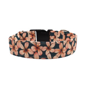 Plumeria Hawaiian Dog Collar | Plumeria Dog Collar | Tropical Dog Collar | Floral Dog Collar | Beach Dog Collar |  Flower Dog Collar