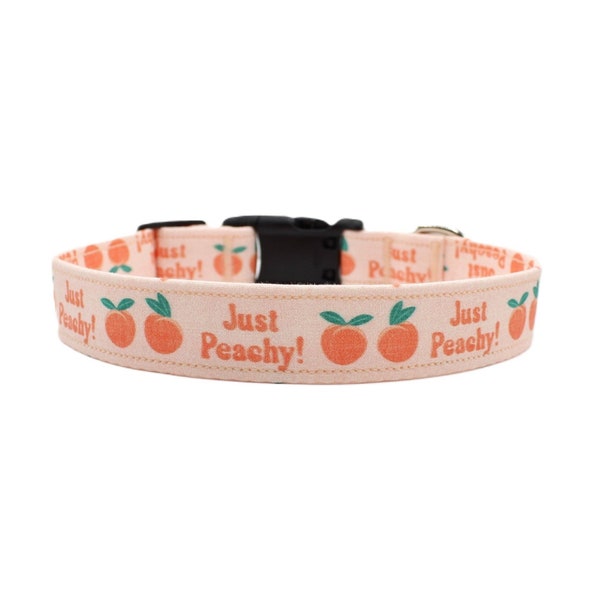 Just Peachy Adjustable Dog Collar, Peaches Dog Collar, Peach Dog Collar, Dog Collar Boy , Dog Collar Girl, Summer, Spring, Cute Dog Collars