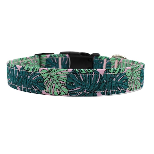 Monstera Dog Collar | Tropical Dog Collar | Tropical Dog Leash | Palm Trees | Summer Dog Collar | Summer Dog Leash | Hawaiian | Dog | Plants