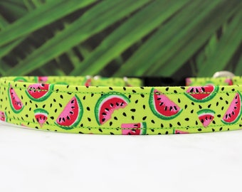 girl dog leash summer collar Melon Belon-girl dog collar melon dog leash pink dog leash pink dog collar fruity melon dog collar