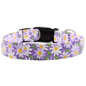 Daisy Dog Collar: Floral Cotton, Adjustable Girl Puppy Collar