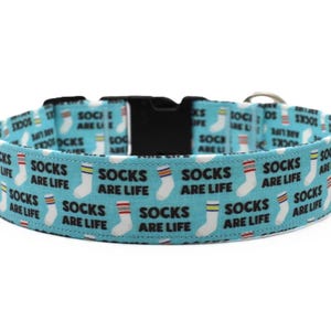 May include: A light blue dog collar with the text "SOCKS ARE LIFE" and images of white socks with colorful stripes. The collar has a black plastic buckle and a metal D-ring for leash attachment.