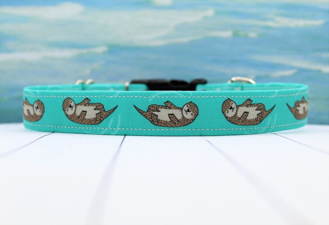 Otter Dog Collar Beach Dog Collar Beach Dog Summer Etsy