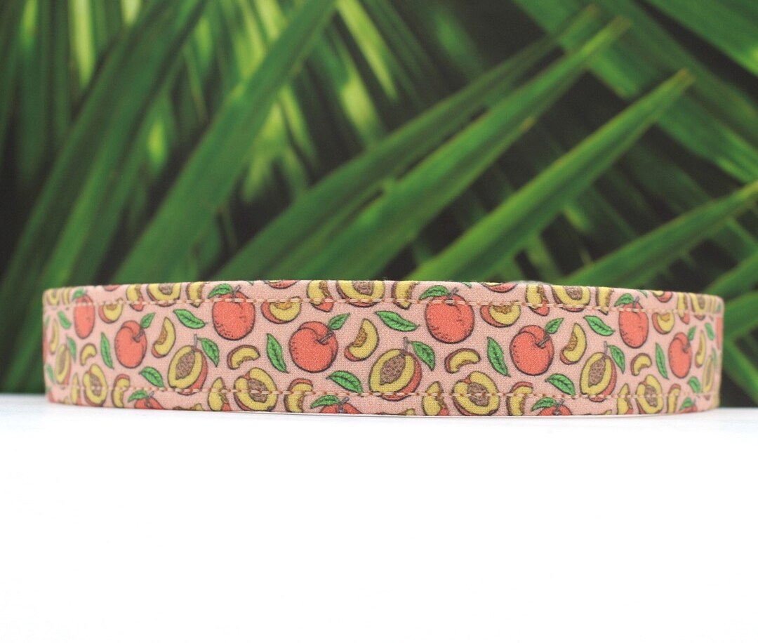 Peach Dog Collar Peaches Adjustable Dog Collar Peachy Fruits Peach Tree