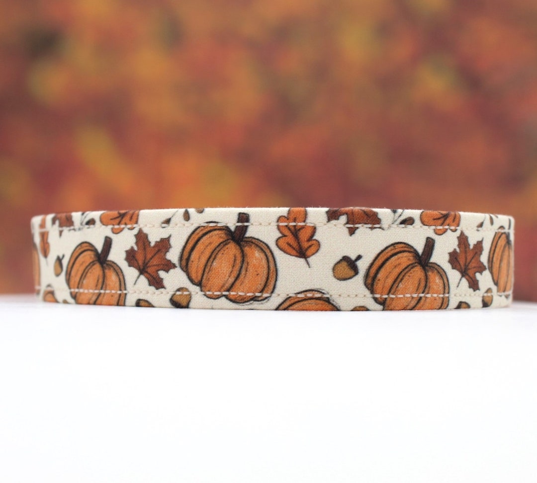 Pumpkin Fall Dog Collar Custom Dog Dog Collars Dog Collar Custom Dog