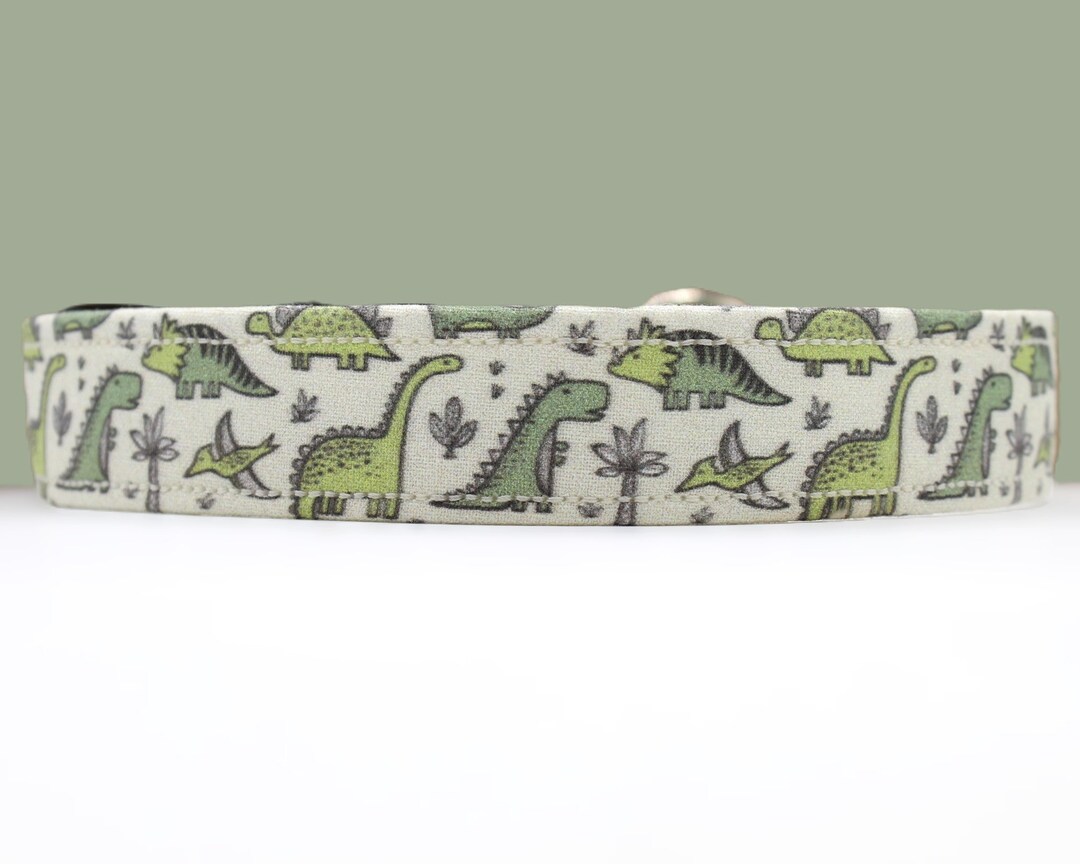 Dinosaur Dog Collar Dog Collar Boy Dinosaur Adjustable Dog Collar