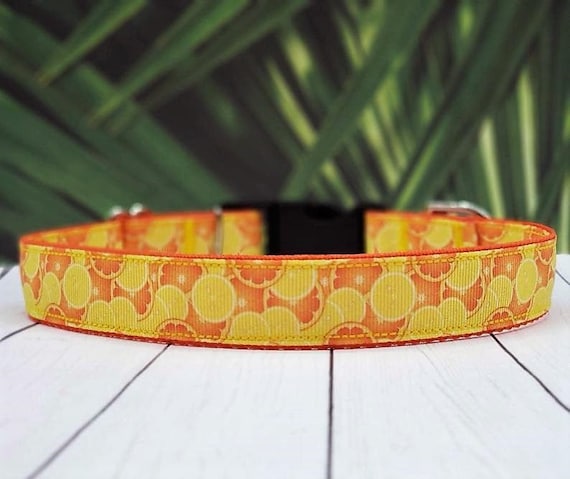 citrus dog collar