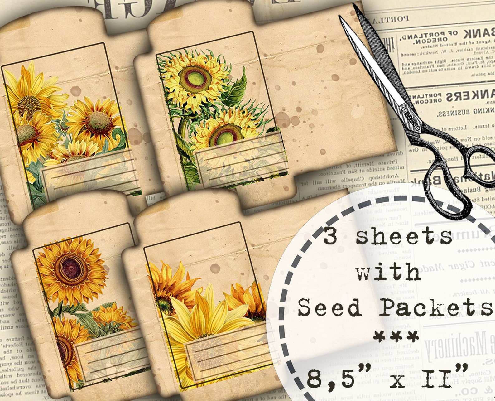 Sunflower Seed Packet Printable Seed Envelopes Summer Junk Etsy