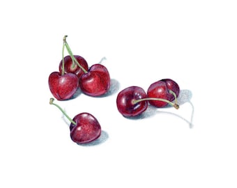Dibujo de bing Cherries / Impresión de archivo de dibujo a lápiz de colores / ilustración de alimentos / arte de cocina