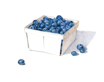 Colored pencil drawing / Blueberries / Food Illustration / Art Print / digital