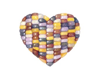 Indian corn - Botanical Hearts series  - Archival print of my colored pencil drawing