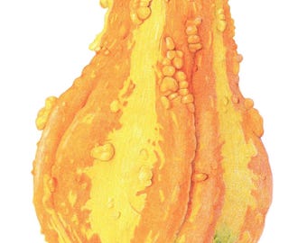Autumn Gourd - Archival print of colored pencil drawing / giclee print / wall art