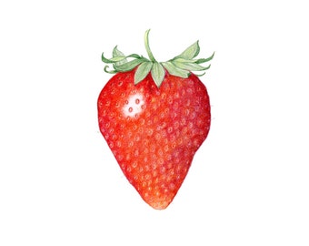 Strawberry - Archival print of colored pencil drawing / food art / kitchen art / wall art
