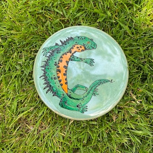 May include: A round, ceramic plate with a hand-painted newt design. The newt is green with black spikes and an orange belly. The plate has a light green background and is resting on a bed of green grass.