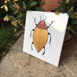 May include: A hand-painted ceramic tile featuring a detailed illustration of a beetle with a yellow and orange body and black legs. The beetle is set against a white background.