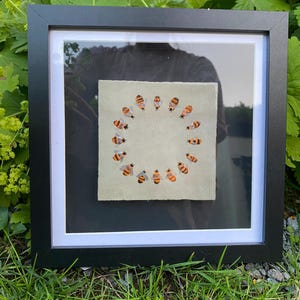 Pode incluir: Obra de arte emoldurada com uma disposição circular de pequenas ilustrações de abelhas. As abelhas têm corpos listrados em laranja e preto. A obra de arte é colocada sobre um fundo bege claro, emoldurada em preto com uma passe-partout branca e exposta na grama.