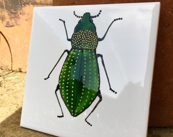 May include: A green and gold beetle with black outlines is painted on a white ceramic tile. The tile is square and has a slightly textured surface. The beetle is depicted in a realistic style with detailed markings and a glossy finish.